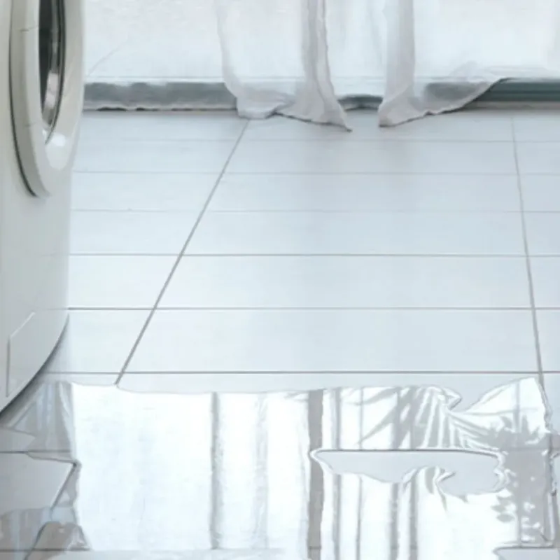 Appliance Leak Cleanup in West Ridge, IL