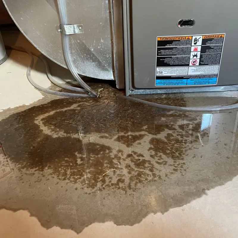 Pipe Burst and Leak Restoration in West Ridge, IL